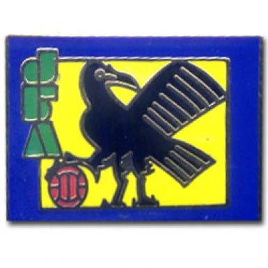 Japan Football Pin Badge