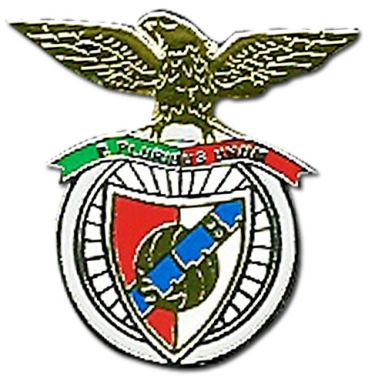 Benfica Crest Pin Badge