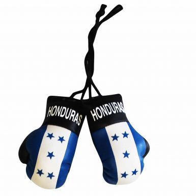 Honduras Flag Mini Boxing Gloves