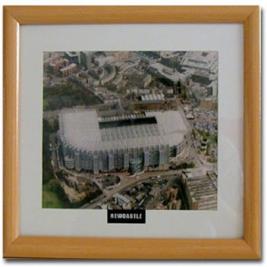 Newcastle Utd Football Stadium Print