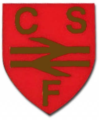 Bristol City CSF Badge