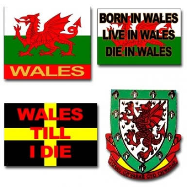 Wales Pin Badges