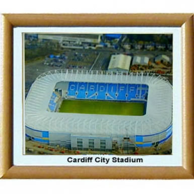 Cardiff City Football Stadium Print