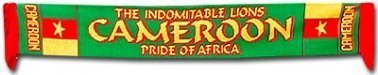 Cameroon Indomitable Lions Football Scarf