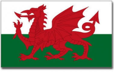 Giant Wales National Flag