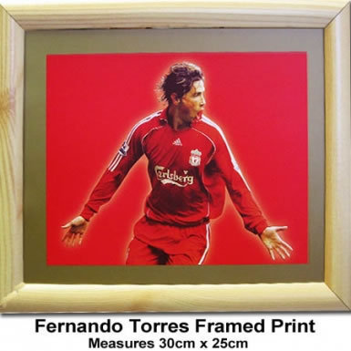 Liverpool FC Fernando Torres Print
