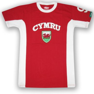 Wales Cymru Flag T-Shirt Wales Cymru Flag T-Shirt