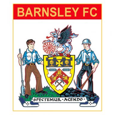 Barnsley Pin Badge