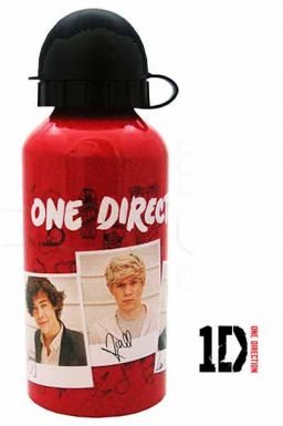 One Direction Boy Band Drinks Bottle