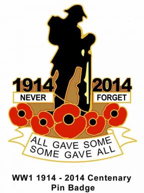WW1 (1914-2014) Centenary Poppy Pin Badge