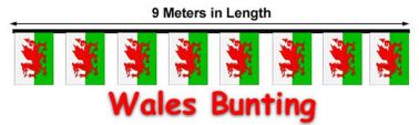 Wales Flag 9 Meter Bunting