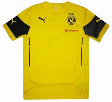 Borussia Dortmund Crest Training Shirt