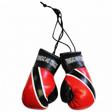 Trinidad Flag Mini Boxing Gloves