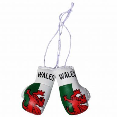 Wales Flag Mini Boxing Gloves