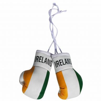Ireland Flag Mini Boxing Gloves
